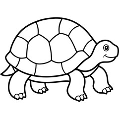Simple Tortoise Vector Drawing