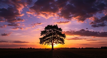 Majestic Lone Tree Silhouetted Against Vibrant Sunset Sky &ndash; Stunning Nature Landscape