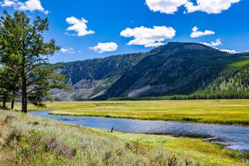 Madison River landscape