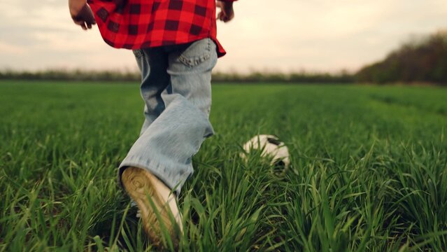 child kid baby girl run across green lawn sunset, kicking soccer ball, playing football field, childhood dream happy kid, football game outside, neighborhood soccer game, open field soccer, natural