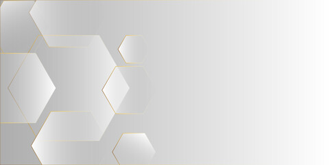white and grey technology hexagonal abstract background. creative geometric rectangle pattern texture. for banner, poster. Minimal Style.vector illustration Minimalist, trendy design. 
