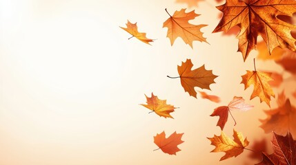 Vibrant autumn leaves falling on soft background