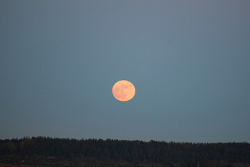 full moon over the forest