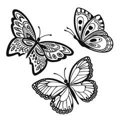Fototapeta premium Monarch butterfly silhouettes collection, vector illustration isolated on white background.