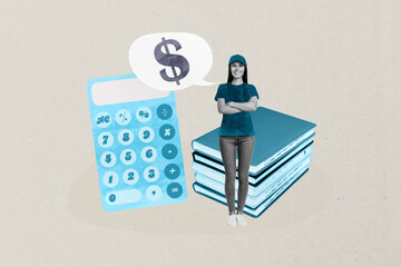 Obraz premium 3d sketch image full collage of happy businesswoman stand calculator tool count dollar income book stack millionaire jackpot