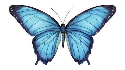 Fototapeta premium Closeup of Scarce Large Blue Butterfly Wings - Detailed Macro Photography