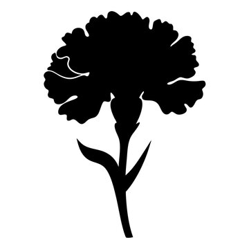 recommend clip art: Elegant black silhouette of a carnation flower against a white background