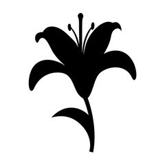 Elegant silhouette of a lily blossom on a long stem with leaves