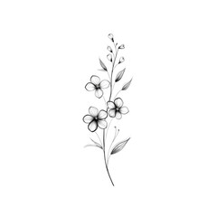 Monochrome Floral Illustration Elegant Flower Stem with Delicate Blooms