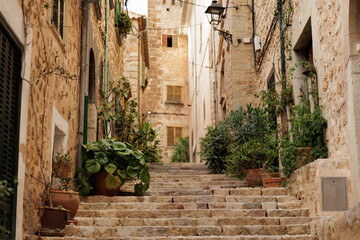 Street full of plants in the city and towns of Mallorca, Spain.