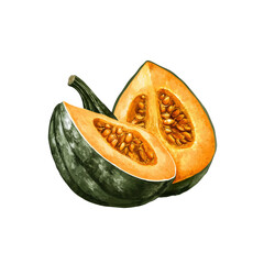 Halved Kabocha Squash with Visible Seeds, Watercolor Style Illustration