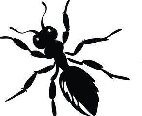 Ant Silhouette Vector Designs 