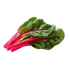Fresh Swiss chard vegetable with vibrant crimson stems and deep green leaves for healthy eating,...