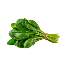 Bundle of fresh spinach on transparent background, healthy leafy greens vegetable, plant based...