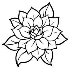 Minimal Soulful Floral Collection Vector on White Background