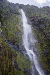 Discovering the Natural Beauty of Madeira Agua d'Alto Waterfall Amidst Lush Greenery