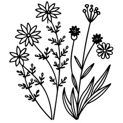 Minimal Boho Wildflower Vector Illustration on White Background