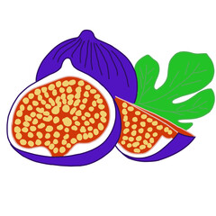 Colorful illustration of fresh figs with one whole fig and two fig halves showing the vibrant orange interior and seeds