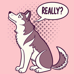 Siberian Husky sitting with one eyebrow raised