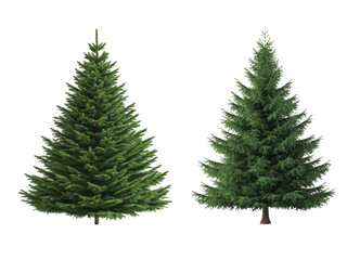 Fototapeta premium Realistic Christmas trees for decoration isolated on white or transparent background PNG, 3d rendering