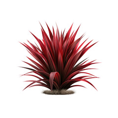 Lush Red Cordyline Plant with Striking Crimson Leaves Isolated on Transparent background