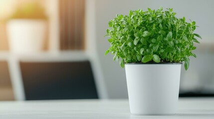Fototapeta premium A vibrant green potted plant adds a touch of nature to a modern office workspace, enhancing the aesthetic appeal and promoting a calming atmosphere for productivity.