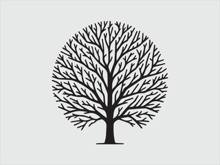 Fototapeta premium Leafless Tree Silhouette with Bare Branches for Moody Nature, Seasonal Change, and Minimalist Art