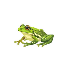 Vibrant Green Frog Illustration Amphibian Wildlife in Detailed Vector Art