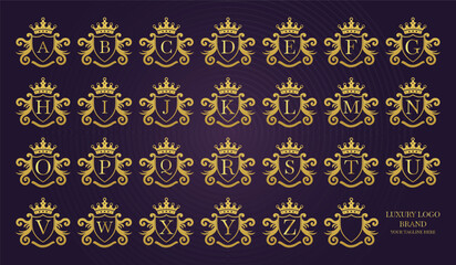 vector set of vintage design elements Luxury Logo Brand Set	