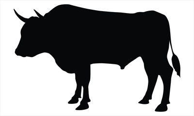 black silhouette of a bull