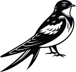A beautiful swallow silhouette vector art, swallow isolated premium quality line art vector illustration