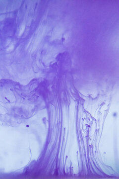 Delicate purple ink patterns dispersing in water