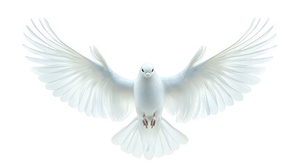 Fototapeta premium Majestic white dove in peaceful flight across the expansive blue sky white