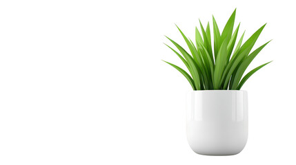 Fototapeta premium Modern white planter showcasing a thriving green plant, enhance your home decor with natural beauty