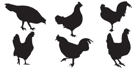 set of chicken silhouette