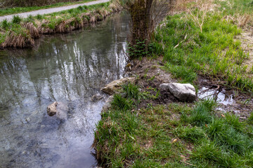 Riverside vegetation and small inlet at the edge of a stream..