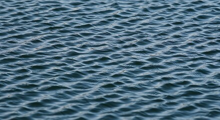 Obraz premium Serene Water Texture: Deep Blue Ripples AI Generated