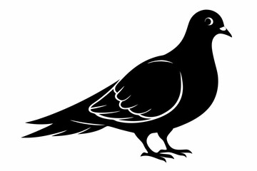 Mourning dove silhouette black vector