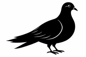Mourning dove silhouette black vector