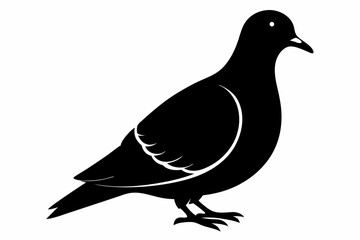 Mourning dove silhouette black vector