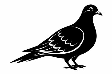Mourning dove silhouette black vector