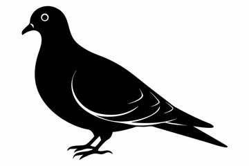 Mourning dove silhouette black vector