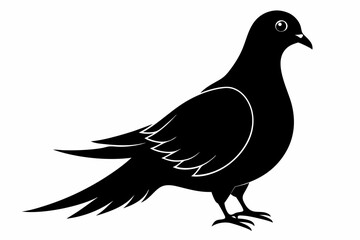 Mourning dove silhouette black vector