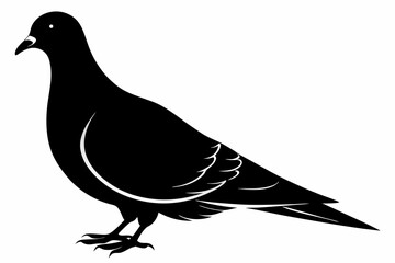 Mourning dove silhouette black vector