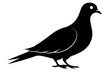 Mourning dove silhouette black vector