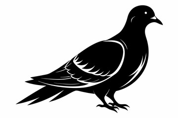Mourning dove silhouette black vector