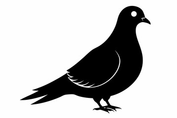 Mourning dove silhouette black vector