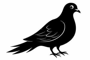 Mourning dove silhouette black vector