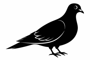 Mourning dove silhouette black vector