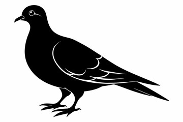 Mourning dove silhouette black vector